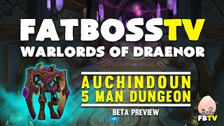 Warlords of Draenor Beta Auchindoun  FATBOSS [upl. by Caitlin]