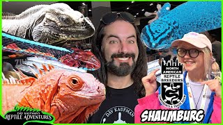 SCHAUMBURG NARBC REPTILE EXPO July 2024 [upl. by Nivart147]