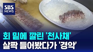 회 밑에 깔린 천사채살짝 들어봤다가 경악  SBS  오클릭 [upl. by Airekahs]