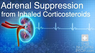 Adrenal Suppression from Inhaled Corticosteroids [upl. by Edgell21]