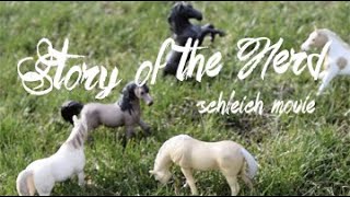 Story of the Herd  Schleich Horse Movie [upl. by Alleciram881]