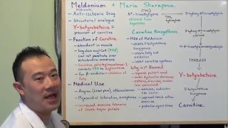 Meldonium and Maria Sharapova explained by a Medical Student [upl. by Enirod]