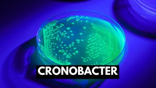 Cronobacter Causes Signs and Symptoms Diagnosis and Treatment [upl. by Ahseikal498]