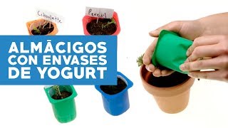 ¿Cómo hacer almácigos con envases de yogurth [upl. by Ahsielat]