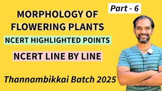 Morphology of Flowering Plants in Tamil  Part 6  TB 2025 [upl. by Germain]