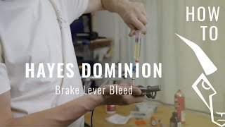 HAYES DOMINION  LEVER BLEED [upl. by Lani]