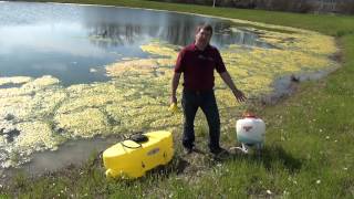 Controlling Algae in Farm Ponds [upl. by Amata]