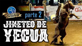 JINETEO DE YEGUA parte 2  IV Campeonato Centenario 2020 [upl. by Lynett]