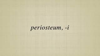 periosteum i [upl. by Aihsenot578]