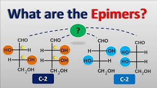 Epimers and Epimerization [upl. by Alo935]