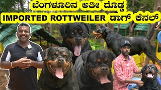 ಬೆಂಗಳೂರಿನ ಅತಿ ದೊಡ್ಡ IMPORTED ರಾಟ್ ವೀಲರ್ ಡಾಗ್ ಕೆನಲ್। BIGGEST ROTTWEILER KENNEL IN BANGALORE [upl. by Winthorpe]