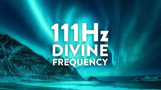 111Hz The Divine Frequency  Cell Regeneration Deep Meditation and Stress Management [upl. by Benetta66]