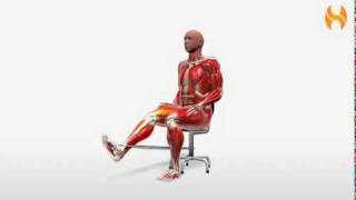 Exercise Videos Band Leg Extension  Seated [upl. by Ieso]