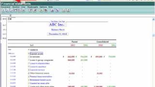 IFRS Financials Working in the Financial Statements  Working with Styles [upl. by Sobel]