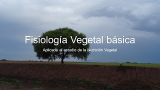 2 Fisiología Vegetal básica [upl. by Lohrman]