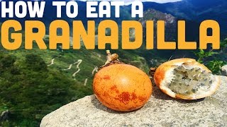 HOW TO EAT GRANADILLA [upl. by Alaham]