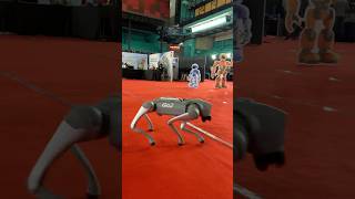 Robo Dogs 🔥 robots expo 😍  Goofy Boy [upl. by Ellehcer]