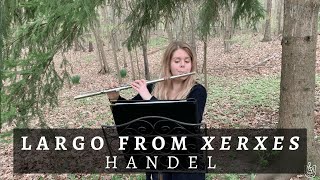 Largo from quotXerxesquot  Handel  flute amp orchestra [upl. by Aleciram]