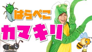 【 おかあさんといっしょ 】ふじこ先生と一緒に はらぺこカマキリ おどってみた！【 ふじこせんせいchannel とコラボ 】 [upl. by Assirt]