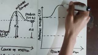 Exothermic and endothermic reactions Grade 12 [upl. by Letnahs]