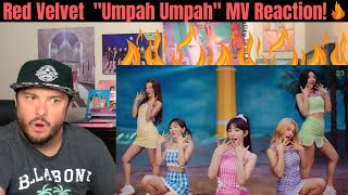 RED VELVET  quotUmpah Umpahquot MV Reaction Half Korean Reacts [upl. by Ruby]