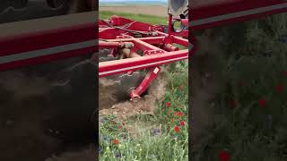 Xerion 5000 amp Horsch tiger claas xerion horsch horschtiger sarkand kz recommended tranding [upl. by Laiceps]