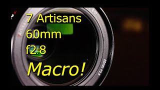 7 Artisans 60mm Macro  Review and Sample Images [upl. by Cralg393]