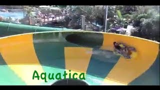 Aquatica waterpark all slides POV [upl. by Swarts526]