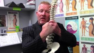 What is the Webster Technique Chiropractor Dr Dr Troy Dreiling Explains [upl. by Jehu]