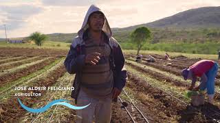 Transposição do Rio São Francisco  agricultores voltam a produzir [upl. by Aelaza452]