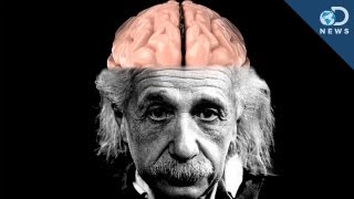 How Einsteins Brain Is Different Than Yours [upl. by Blunt511]