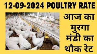 आज का थोक पौल्ट्री रेट  today poultry rateaaj ka murga mandi ka bhav in hindi Today broiler rate [upl. by Riaj772]