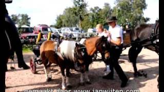 Paardenmarkt in Reusel [upl. by Scarrow114]