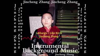 Jincheng Zhang  Lure I Like Birds Official Instrumental Background Music [upl. by Ainocal]