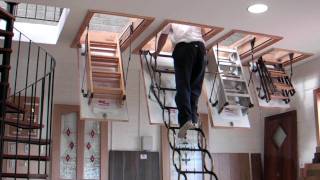 Murphy Larkin Attic Stairs Attic ladders [upl. by Enrev]