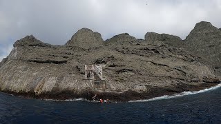 MALPELO Navegando al corazón del Pacífico Colombiano  El País Cali [upl. by Barton452]