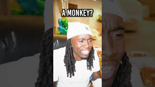 Fan Calls Kai Cenat amp Lil Uzi Vert And Calls Him A Monkey…😭💀 [upl. by Renrag119]