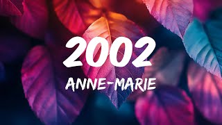 AnneMarie  2002 Mix Lyrics Camila Cabello Revel Day [upl. by Possing387]