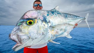 Most PRIZED Deep Sea Fish Catch Clean Cook African Pompano [upl. by Nylleoj696]