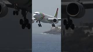 Madeira Airport FNC Funchal 🇵🇹TAP Portugal Airbus A330neo airbus funchal madeira madeiraairport [upl. by Ahsirat]