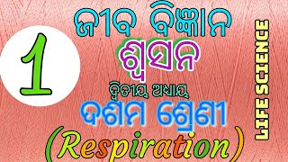 osepaCLASS 10LIFE SCIENCESOSANAPART1RESPIRATIONCLASS 10OSEPA live by motilal sir [upl. by Amaso]