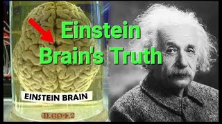 The Shocking Truth About Albert Einsteins Brain  alberteinstein informationstation18 genius [upl. by Sheeran]