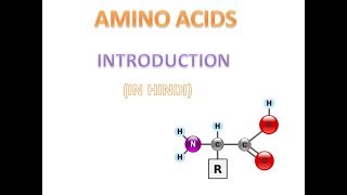 Amino Acid  Part1  INTRODUCTION  HINDI [upl. by Martinsen891]