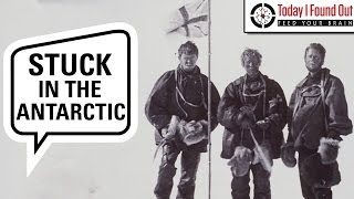 The Amazing Story of Douglas Mawsons 300 Mile Antarctic Trek [upl. by Anahtor233]