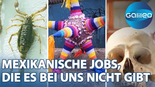 Vom Skorpionjäger bis zum Piñata Hersteller Außergewöhnliche Jobs in Mexiko  Galileo  ProSieben [upl. by Heinrike293]