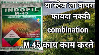 M45 fungicide  mencozeb  M 45 fungicide in marathi  M45 बुरशीनाशक माहिती  zink  M45 फायदा [upl. by Aksel]