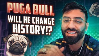 PUGA BULL TOKEN IS SUPER UNIQUE DEFAMATORY DOGE MEME TOKEN AIMING TO CHANGE THE MEMECOIN STORY [upl. by Mandell323]