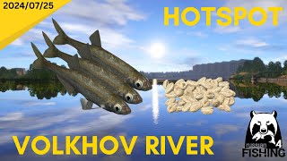 INSANELY Active Bleak Hotspot Volkhov River Russian Fishing 4 [upl. by Sueaddaht287]