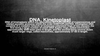 Medical vocabulary What does DNA Kinetoplast mean [upl. by Ynaffet]