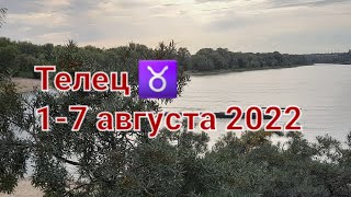 ТЕЛЕЦ Расклад ТАРО на 17 АВГУСТА 2022 [upl. by Allbee]